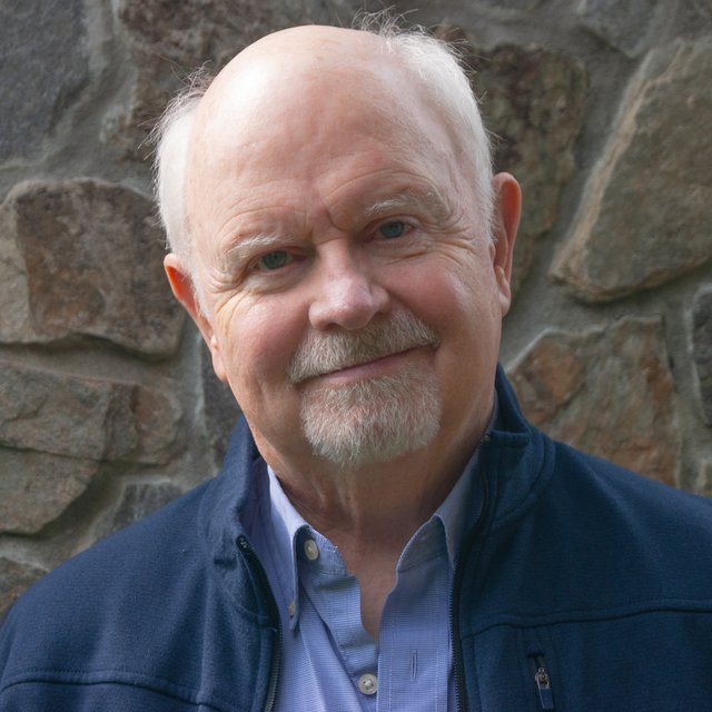 PCollins Headshot 1-1